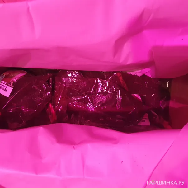 превью изображения отзыва