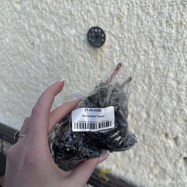 превью изображения отзыва