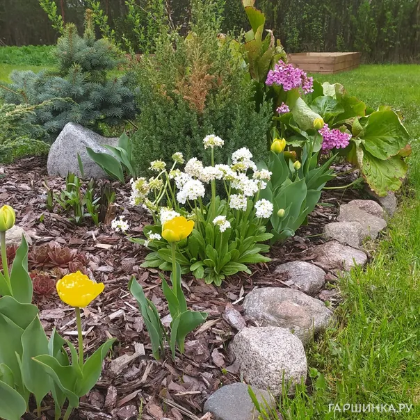 превью изображения отзыва