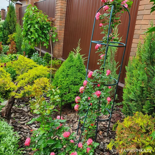 превью изображения отзыва