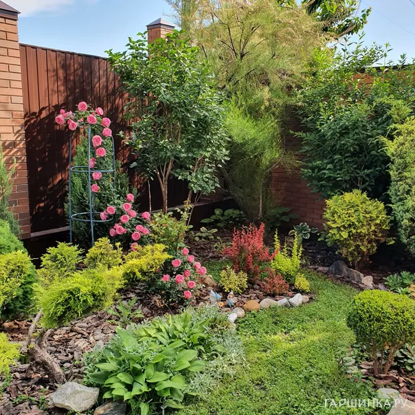 превью изображения отзыва