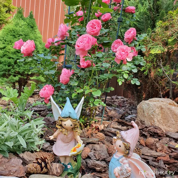 превью изображения отзыва