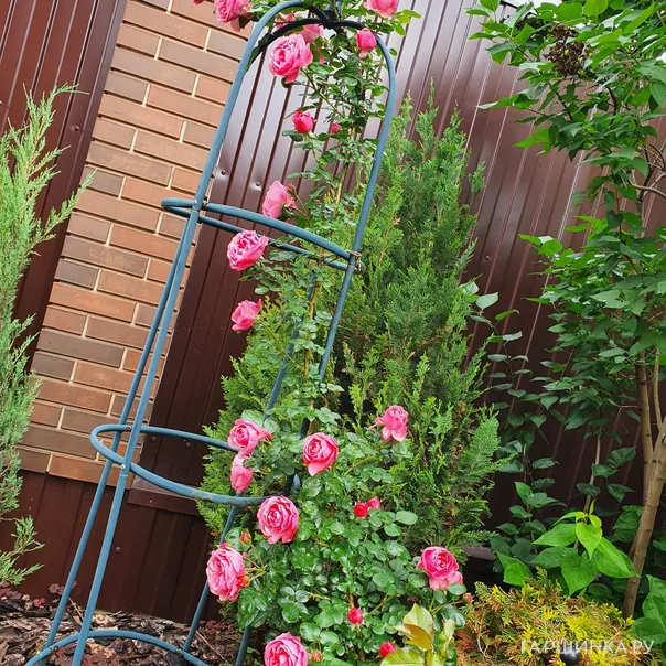 превью изображения отзыва