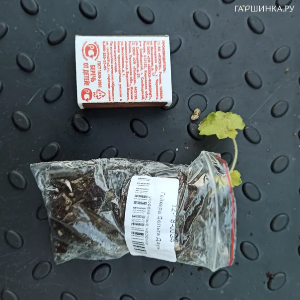 превью изображения отзыва