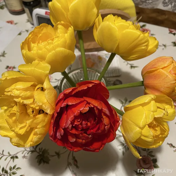 превью изображения отзыва