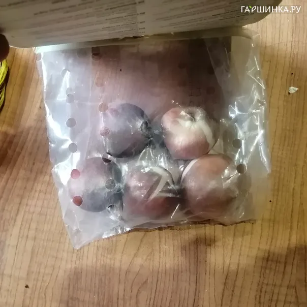 превью изображения отзыва