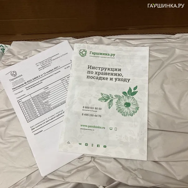 превью изображения отзыва