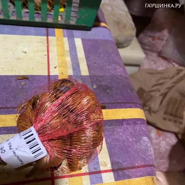 превью изображения отзыва