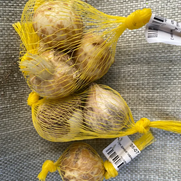 превью изображения отзыва