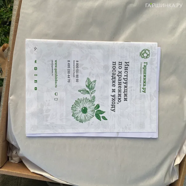 превью изображения отзыва