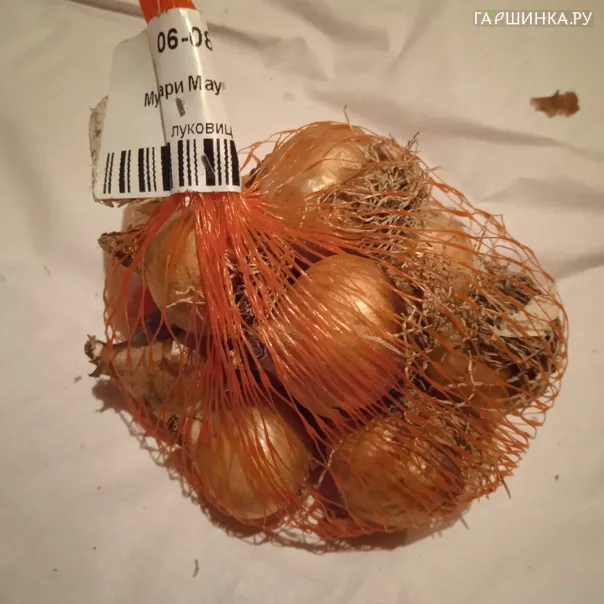 превью изображения отзыва