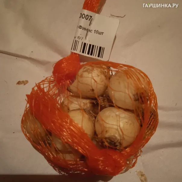 превью изображения отзыва