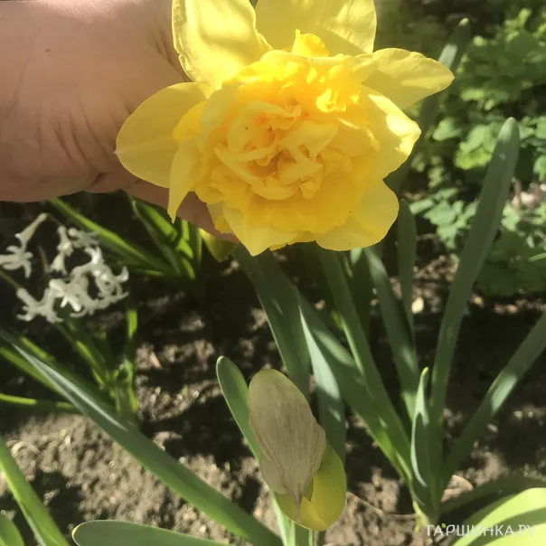 превью изображения отзыва