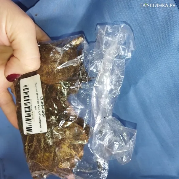 превью изображения отзыва