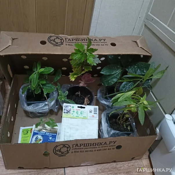 превью изображения отзыва