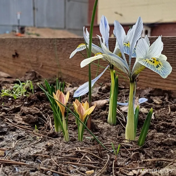 превью изображения отзыва