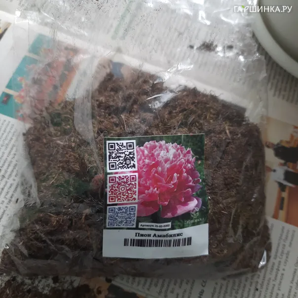 превью изображения отзыва