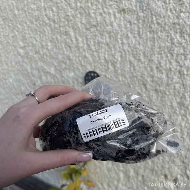 превью изображения отзыва