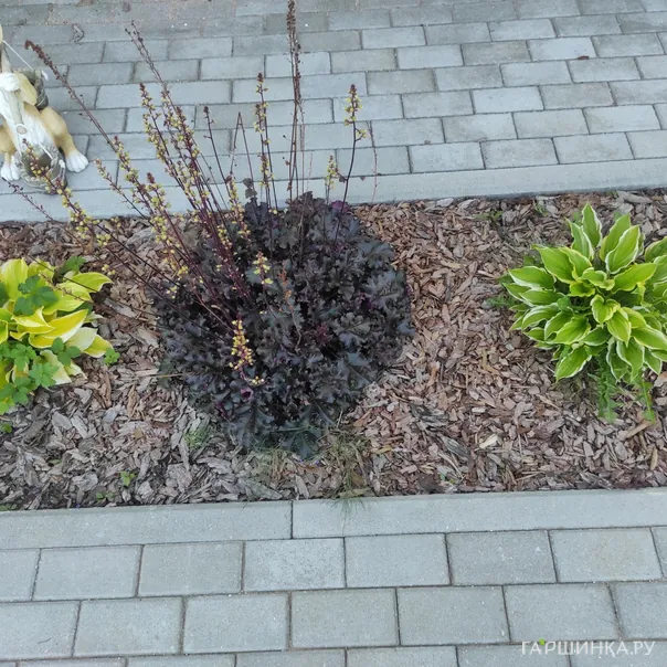 превью изображения отзыва