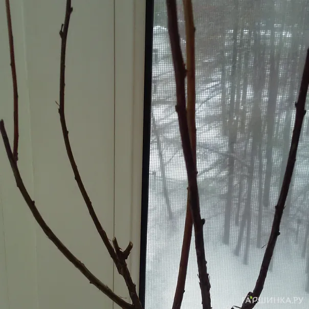 превью изображения отзыва