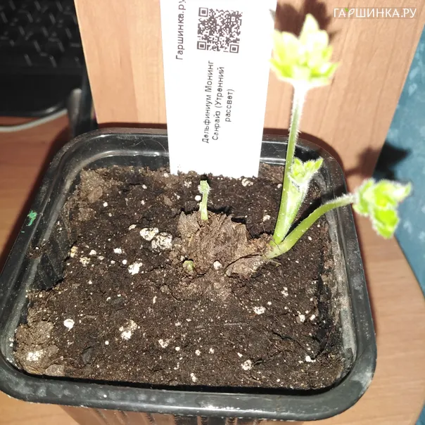 превью изображения отзыва