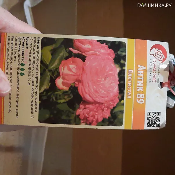 превью изображения отзыва