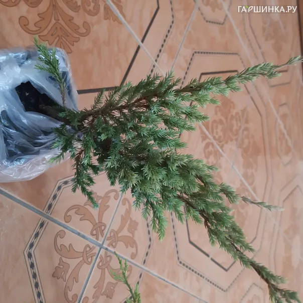 превью изображения отзыва