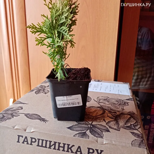 превью изображения отзыва