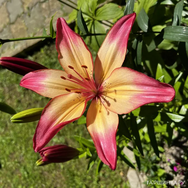 превью изображения отзыва