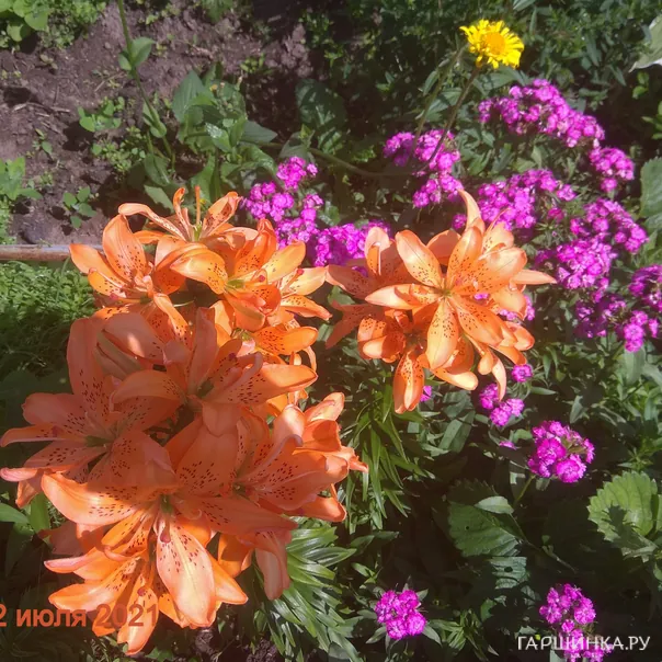 превью изображения отзыва