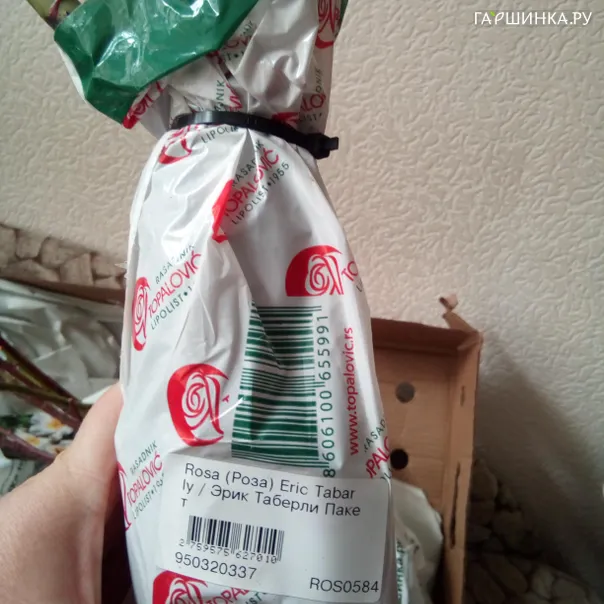 превью изображения отзыва