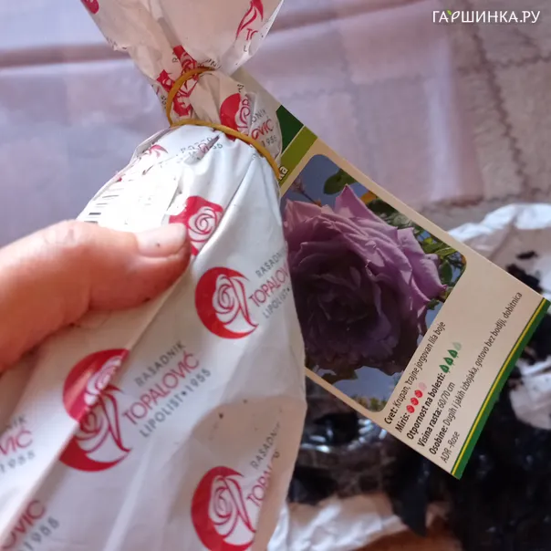 превью изображения отзыва
