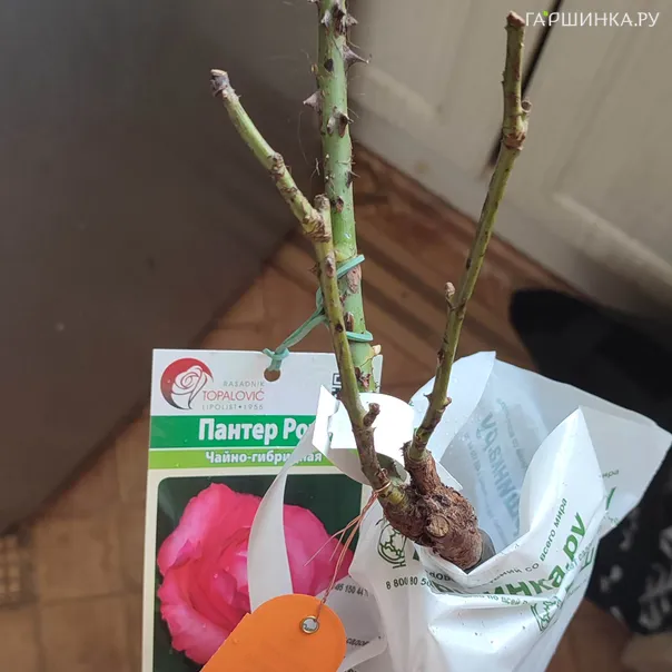 превью изображения отзыва