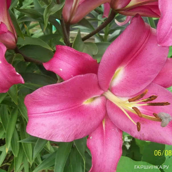 превью изображения отзыва