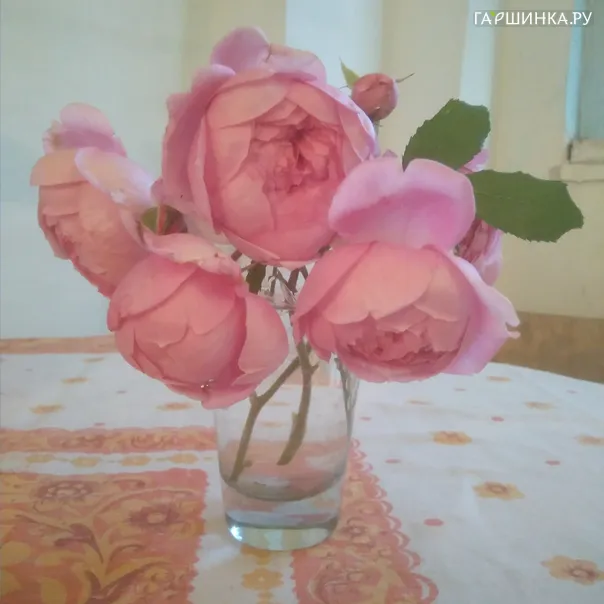 превью изображения отзыва