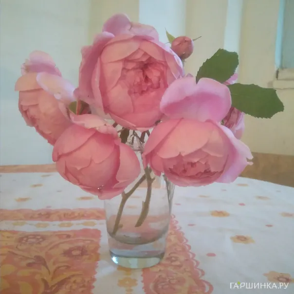 превью изображения отзыва