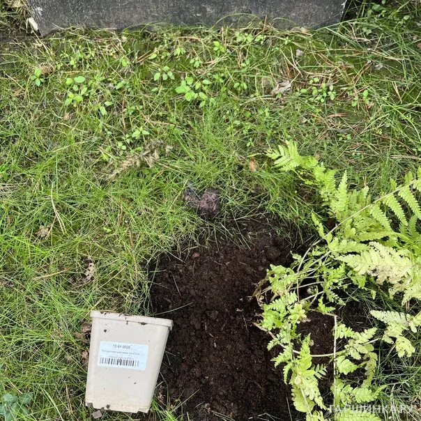 превью изображения отзыва