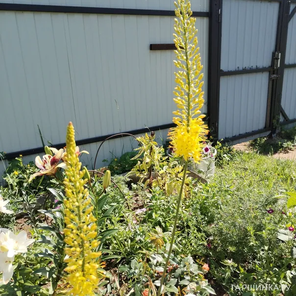 превью изображения отзыва