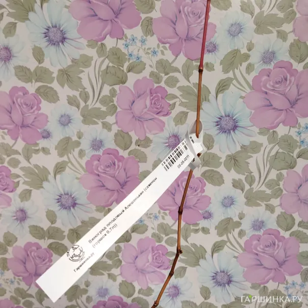 превью изображения отзыва