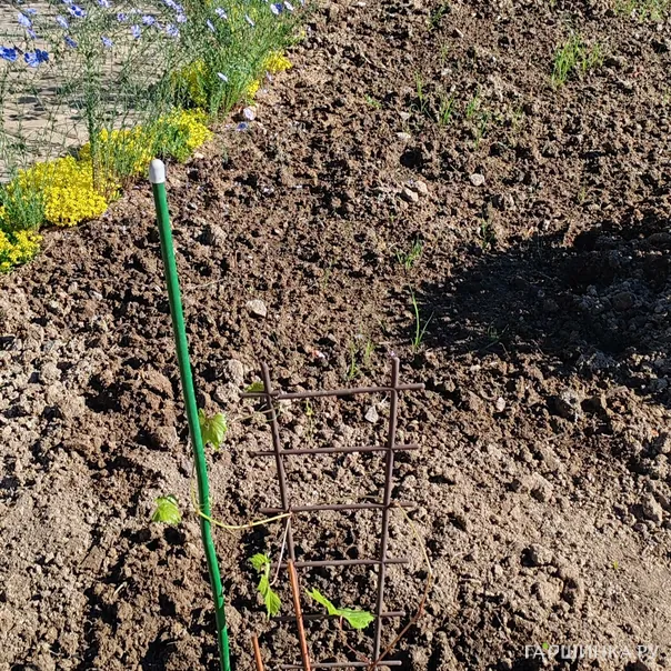 превью изображения отзыва