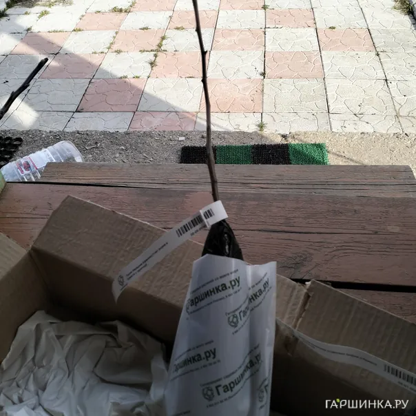 превью изображения отзыва