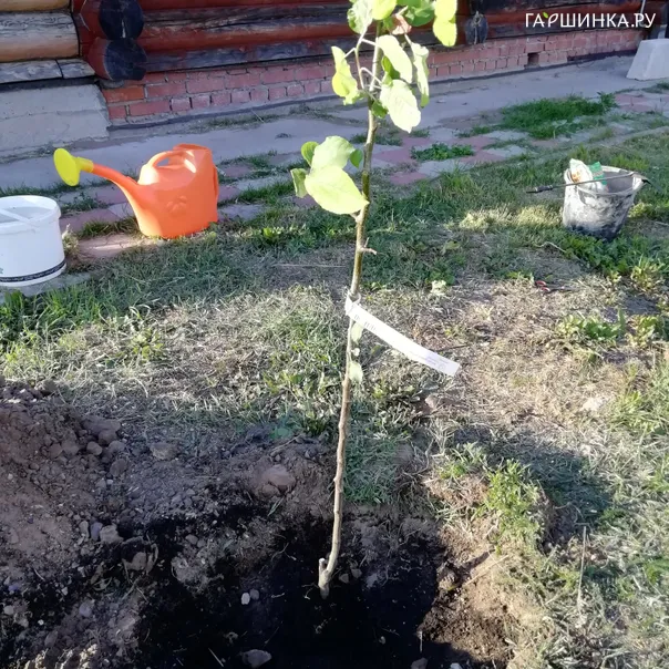 превью изображения отзыва