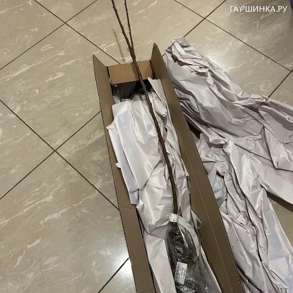 превью изображения отзыва