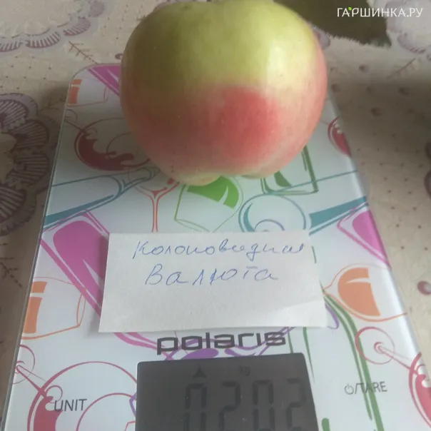 превью изображения отзыва