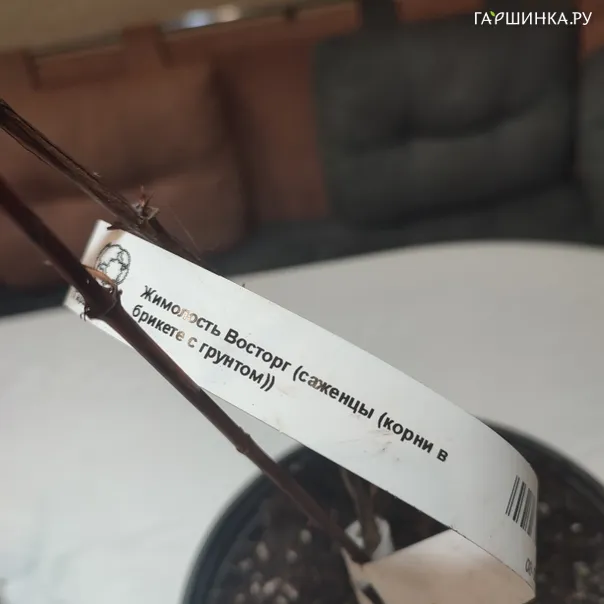 превью изображения отзыва