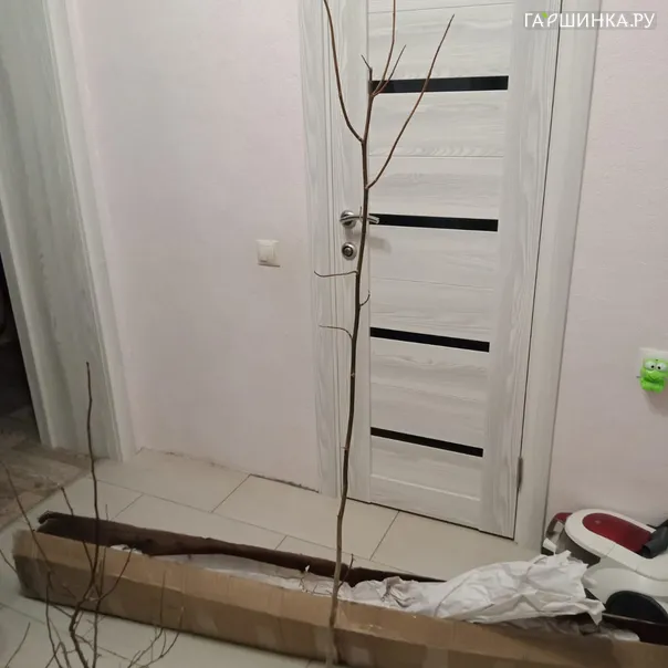 превью изображения отзыва