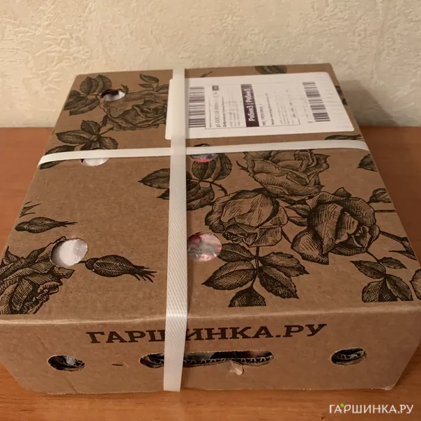 превью изображения отзыва