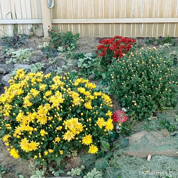 превью изображения отзыва