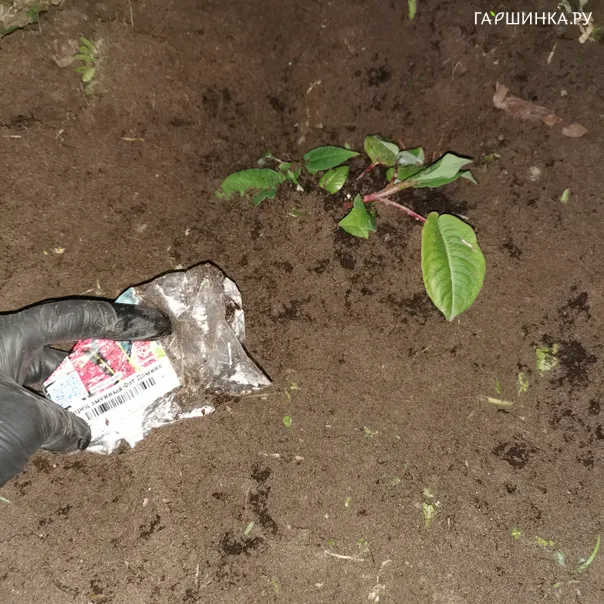 превью изображения отзыва