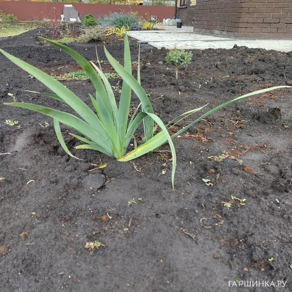 превью изображения отзыва